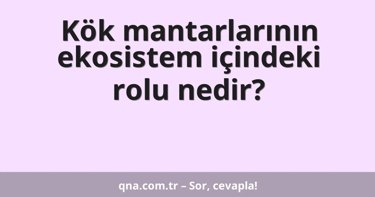 Kök mantarlarının ekosistem içindeki rolu nedir?
