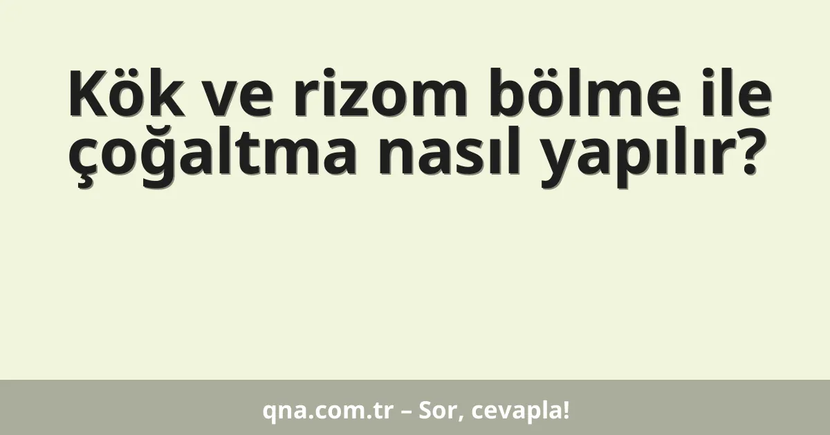 Kök ve rizom bölme ile çoğaltma nasıl yapılır?