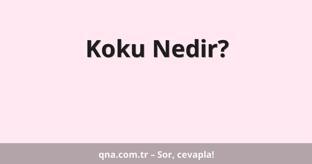 Koku Nedir?
