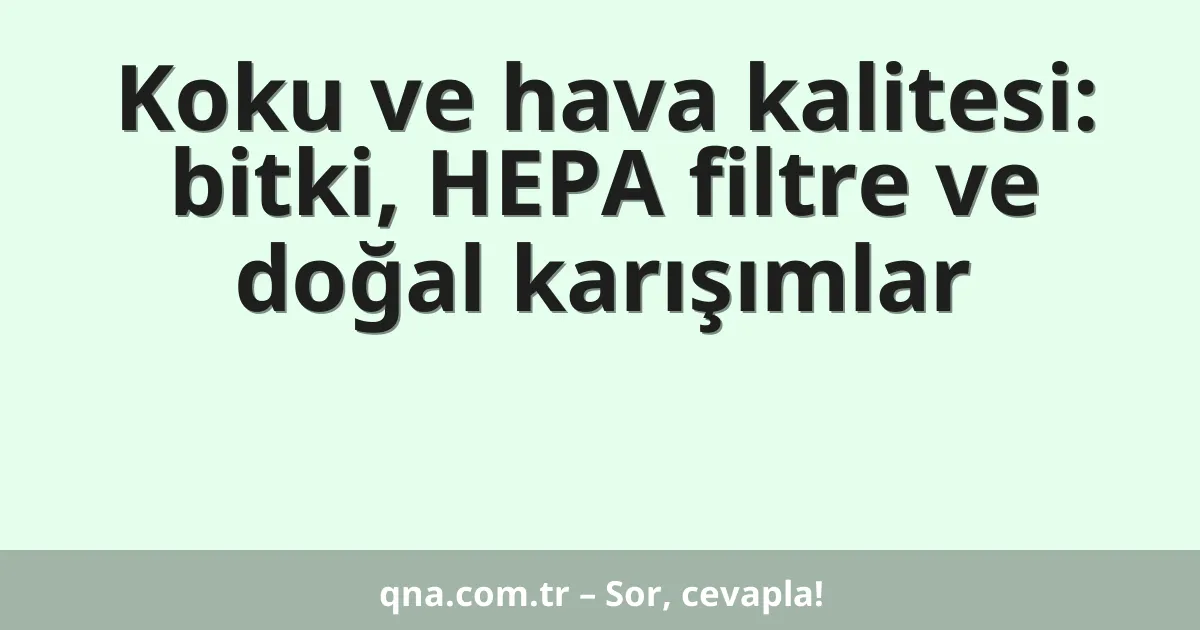 Koku ve hava kalitesi: bitki, HEPA filtre ve doğal karışımlar