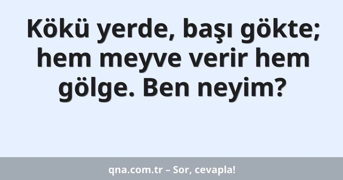 Kökü yerde, başı gökte; hem meyve verir hem gölge. Ben neyim?