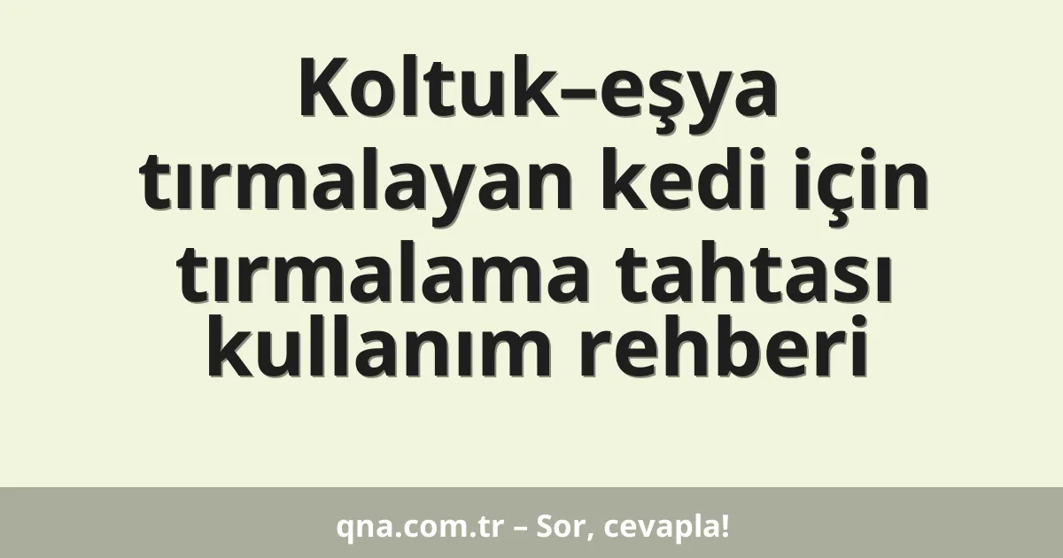 Koltuk–eşya tırmalayan kedi için tırmalama tahtası kullanım rehberi