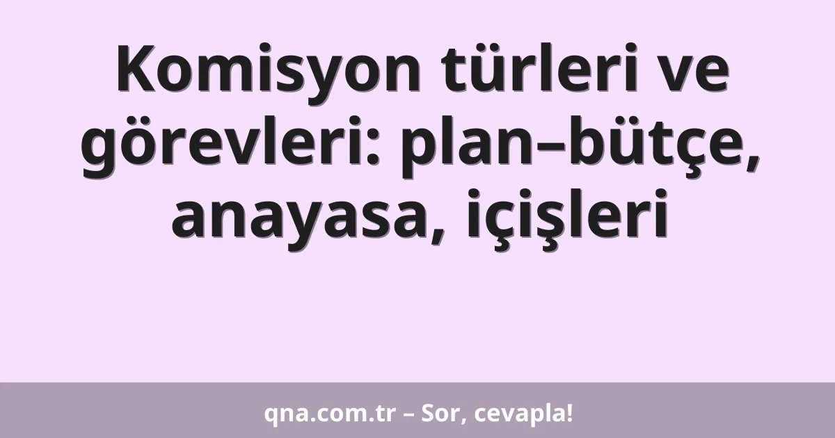 Komisyon türleri ve görevleri: plan–bütçe, anayasa, içişleri