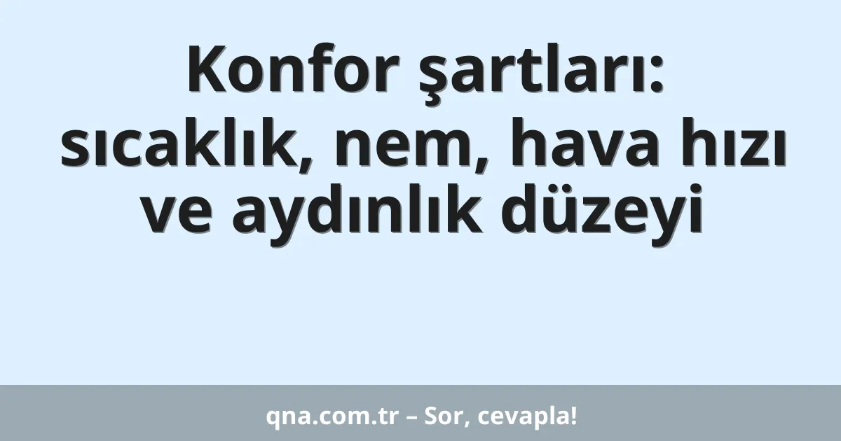 Konfor şartları: sıcaklık, nem, hava hızı ve aydınlık düzeyi