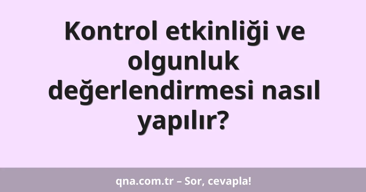 Kontrol etkinliği ve olgunluk değerlendirmesi nasıl yapılır?