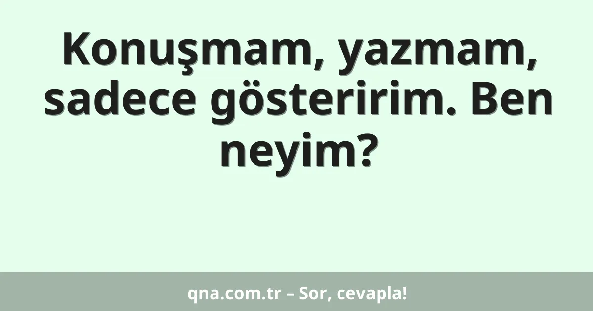 Konuşmam, yazmam, sadece gösteririm. Ben neyim?