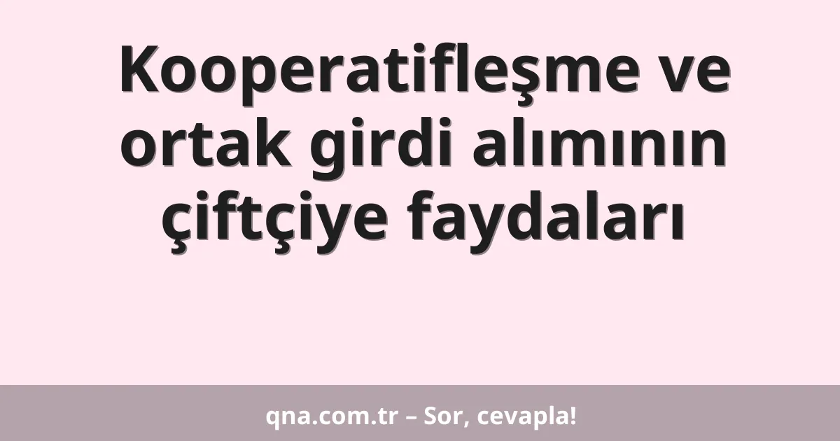 Kooperatifleşme ve ortak girdi alımının çiftçiye faydaları