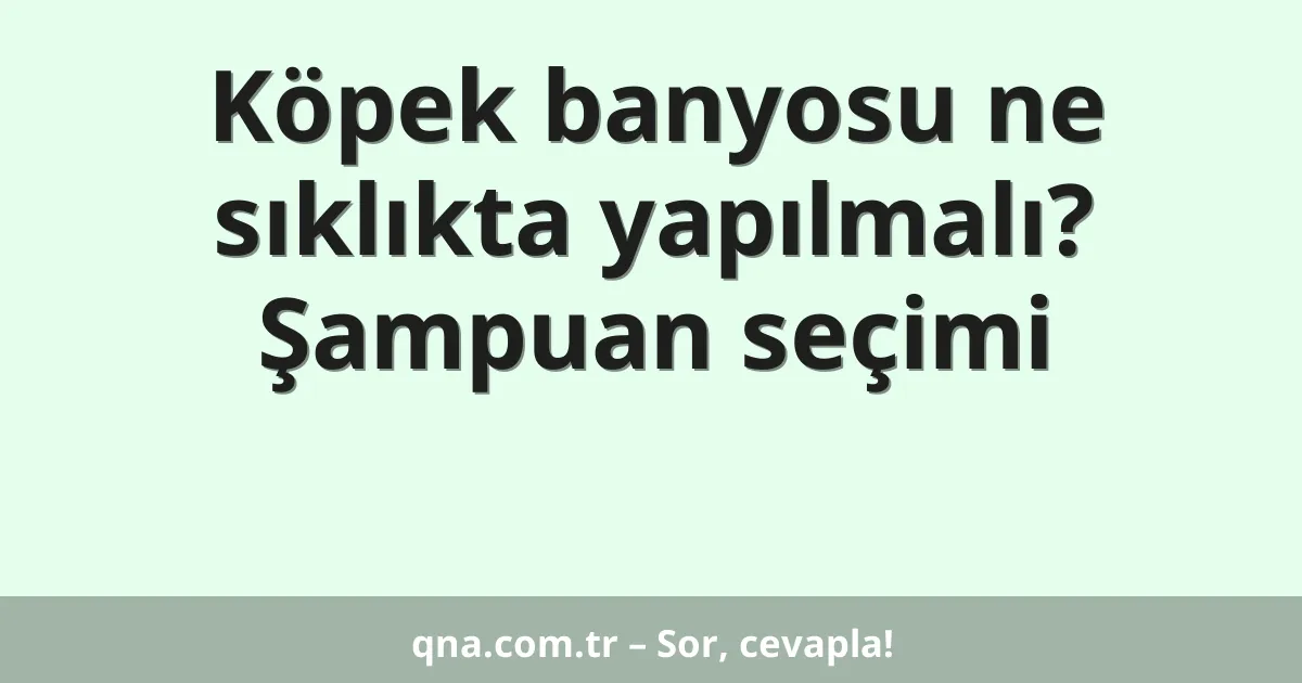 Köpek banyosu ne sıklıkta yapılmalı? Şampuan seçimi