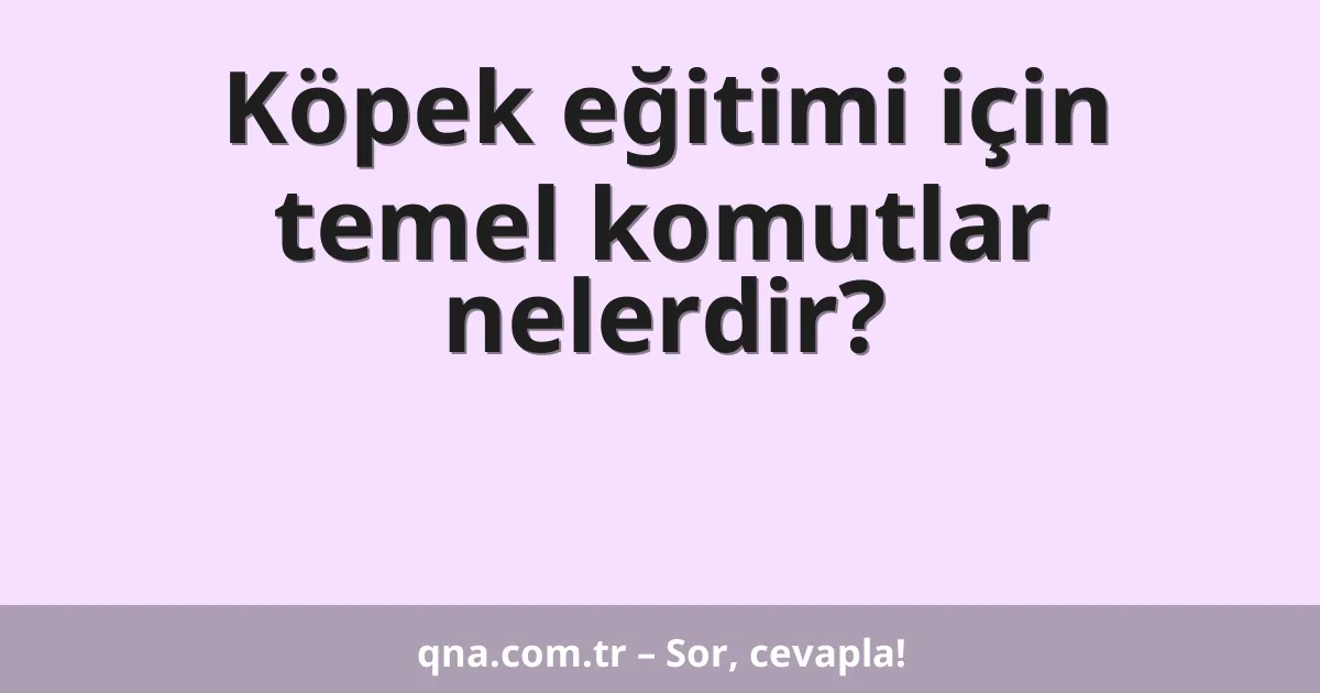 Köpek eğitimi için temel komutlar nelerdir?
