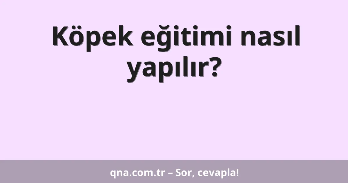 Köpek eğitimi nasıl yapılır?