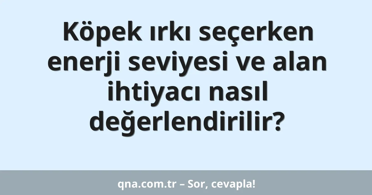Köpek ırkı seçerken enerji seviyesi ve alan ihtiyacı nasıl değerlendirilir?