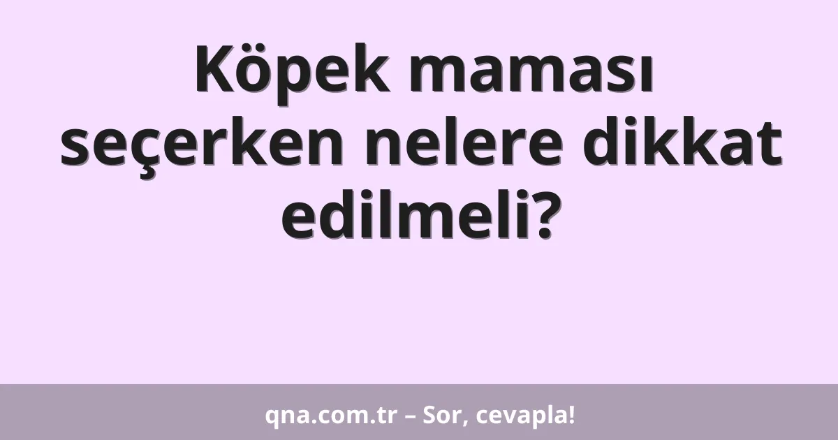 Köpek maması seçerken nelere dikkat edilmeli?