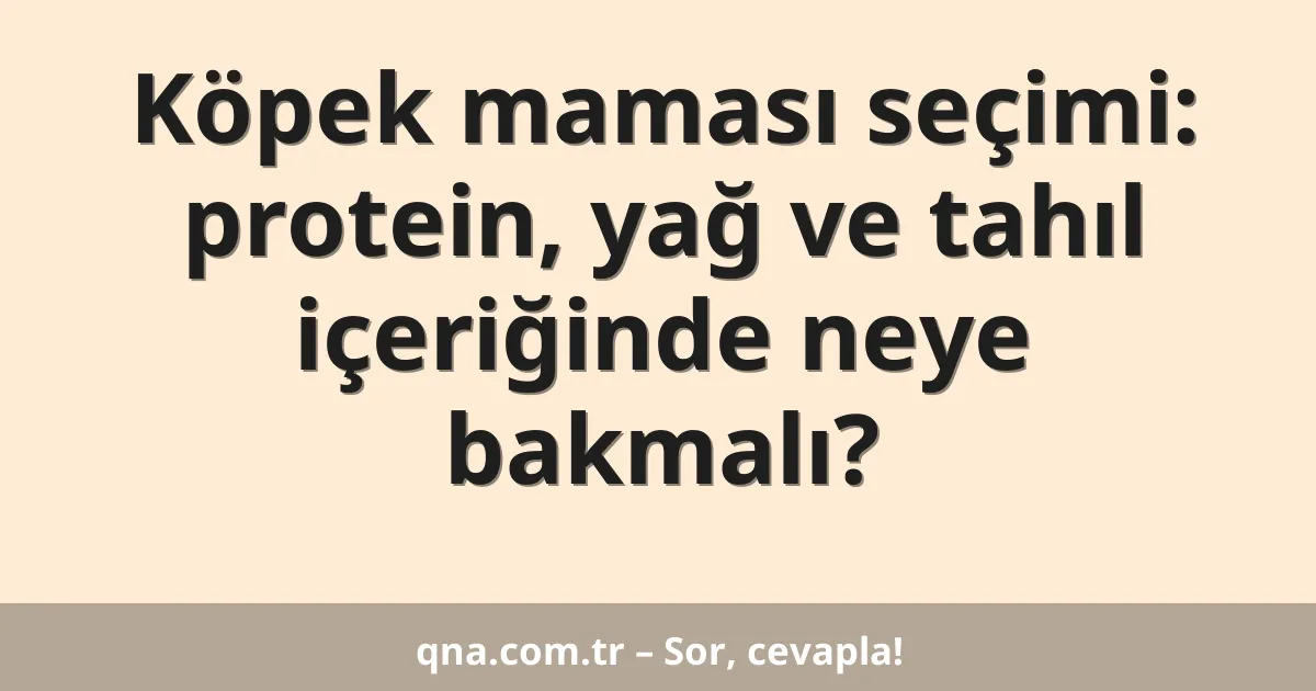 Köpek maması seçimi: protein, yağ ve tahıl içeriğinde neye bakmalı?