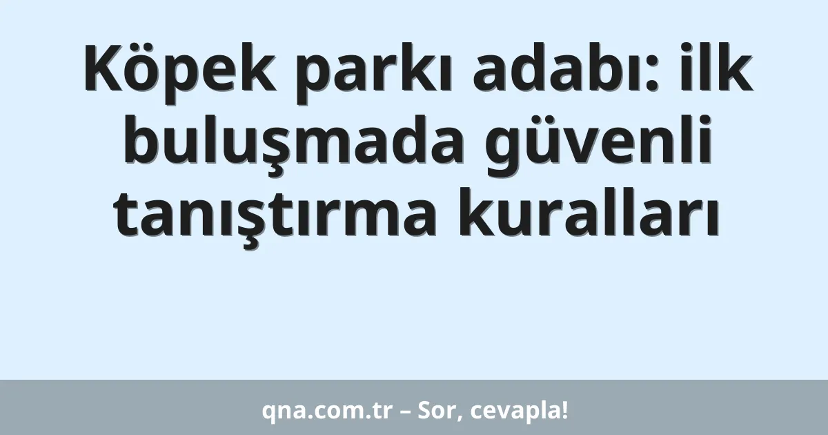Köpek parkı adabı: ilk buluşmada güvenli tanıştırma kuralları