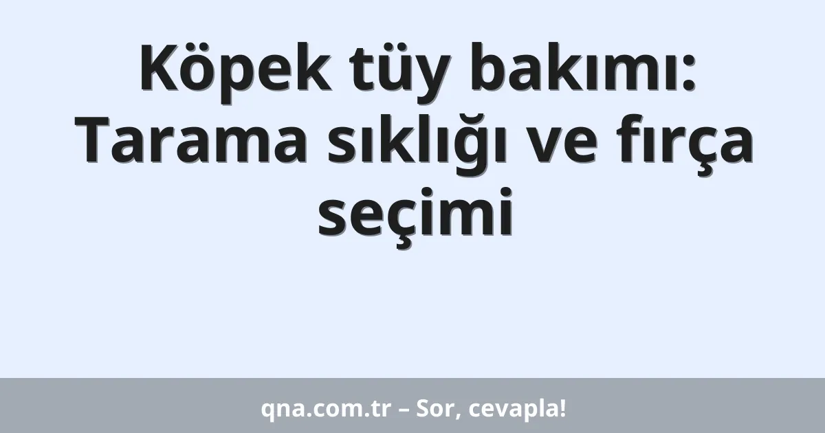Köpek tüy bakımı: Tarama sıklığı ve fırça seçimi