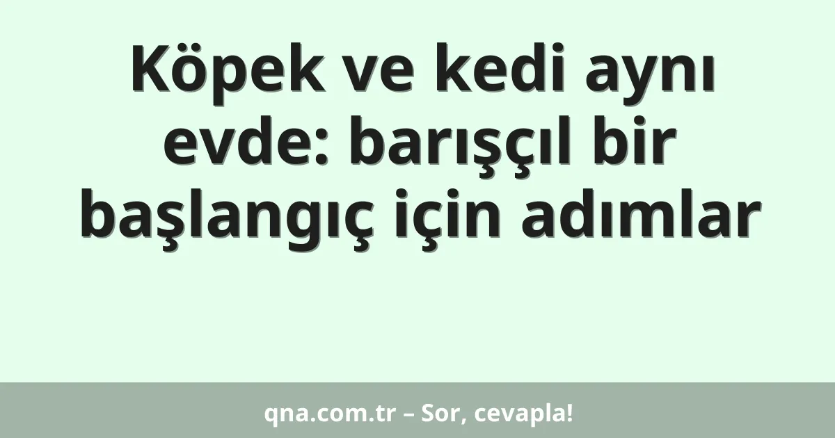 Köpek ve kedi aynı evde: barışçıl bir başlangıç için adımlar