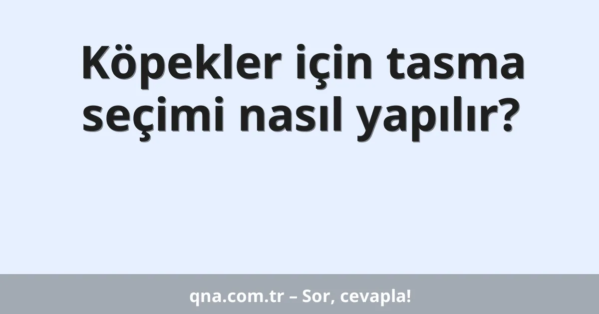 Köpekler için tasma seçimi nasıl yapılır?