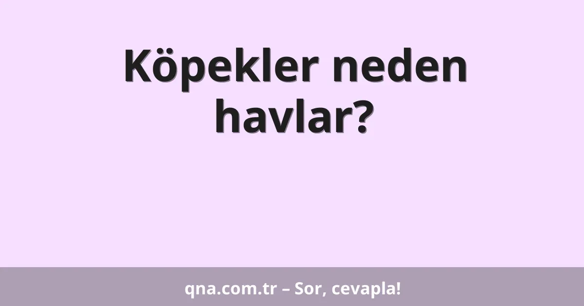 Köpekler neden havlar?