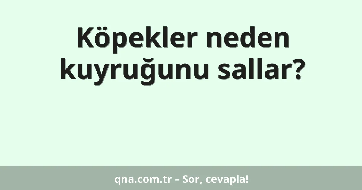 Köpekler neden kuyruğunu sallar?