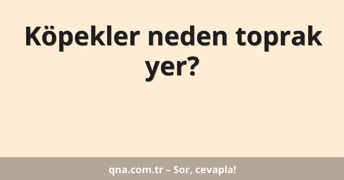 Köpekler neden toprak yer?