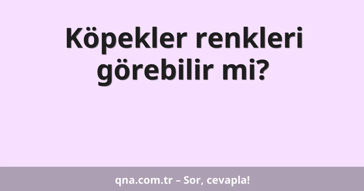 Köpekler renkleri görebilir mi?