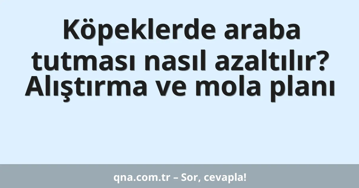 Köpeklerde araba tutması nasıl azaltılır? Alıştırma ve mola planı