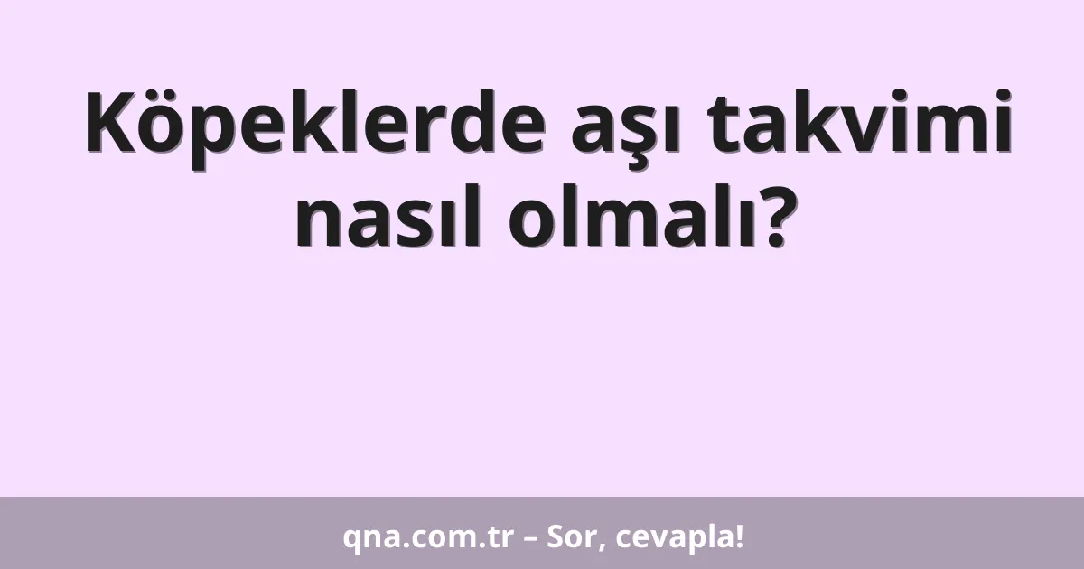 Köpeklerde aşı takvimi nasıl olmalı?