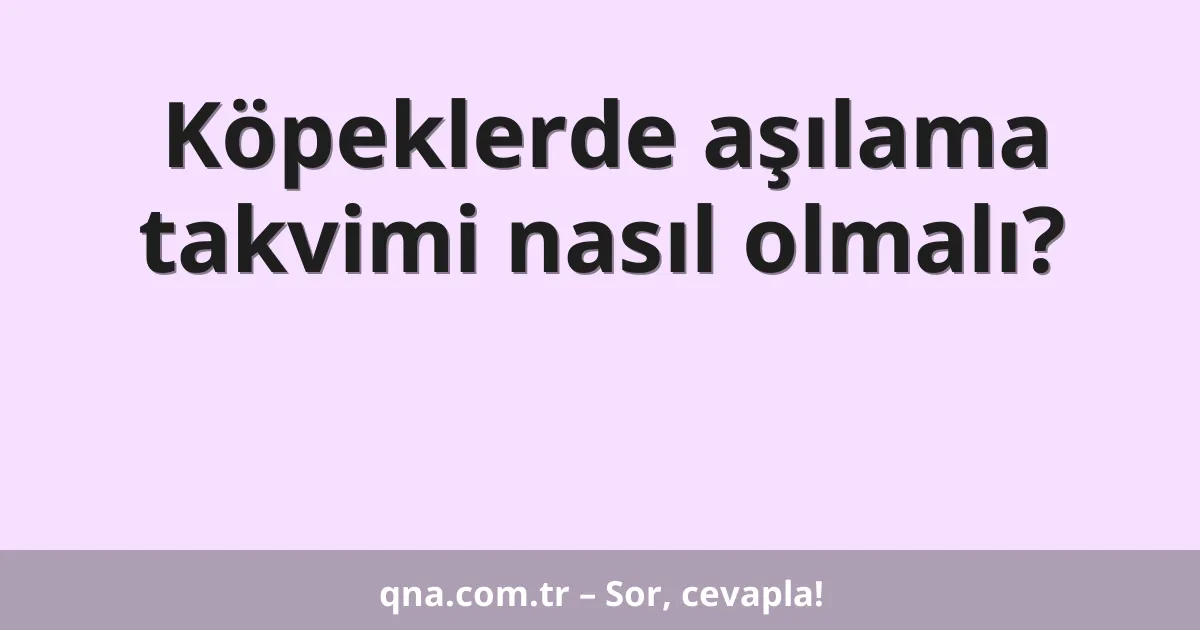 Köpeklerde aşılama takvimi nasıl olmalı?