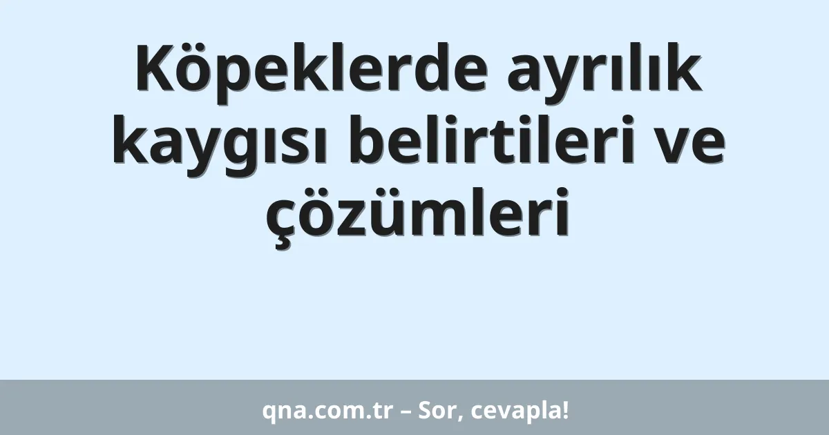 Köpeklerde ayrılık kaygısı belirtileri ve çözümleri