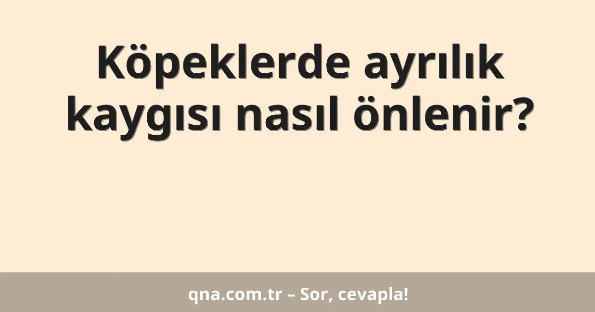 Köpeklerde ayrılık kaygısı nasıl önlenir?