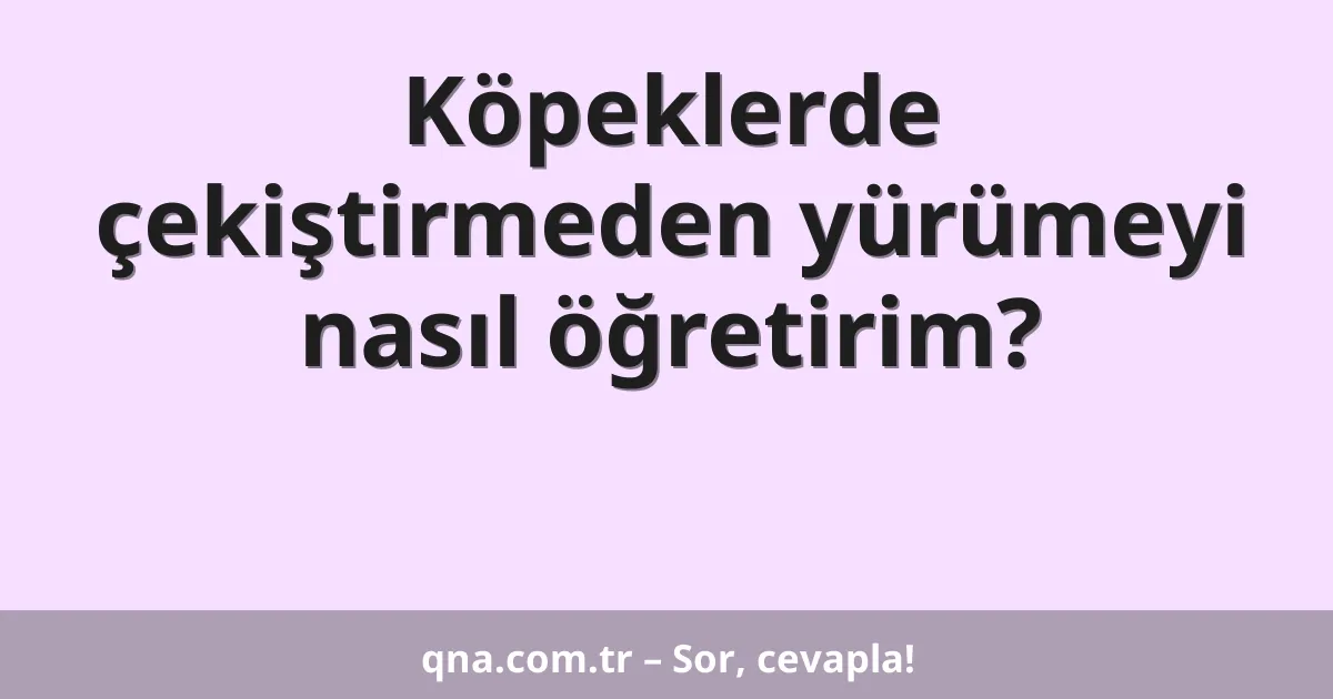 Köpeklerde çekiştirmeden yürümeyi nasıl öğretirim?