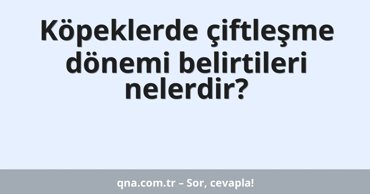 Köpeklerde çiftleşme dönemi belirtileri nelerdir?