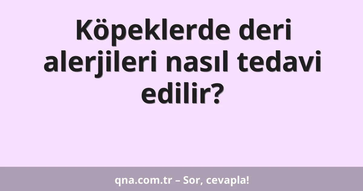Köpeklerde deri alerjileri nasıl tedavi edilir?