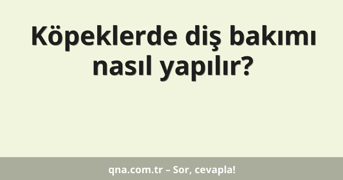 Köpeklerde diş bakımı nasıl yapılır?