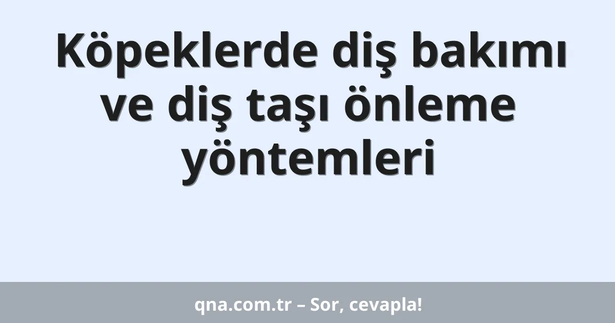 Köpeklerde diş bakımı ve diş taşı önleme yöntemleri