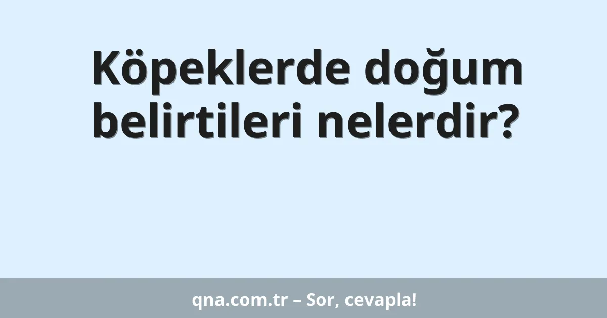Köpeklerde doğum belirtileri nelerdir?