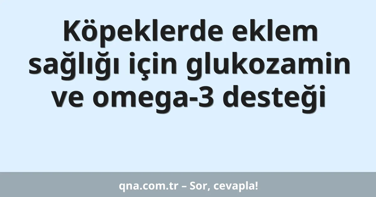 Köpeklerde eklem sağlığı için glukozamin ve omega-3 desteği