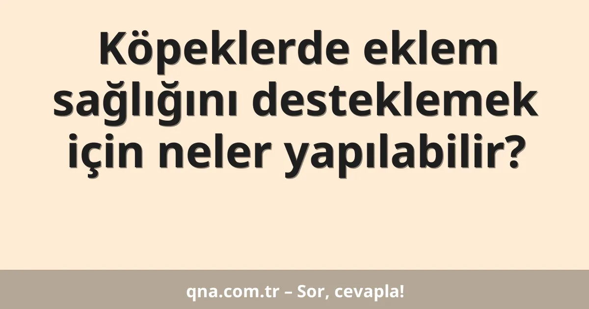 Köpeklerde eklem sağlığını desteklemek için neler yapılabilir?