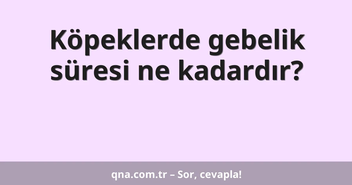 Köpeklerde gebelik süresi ne kadardır?