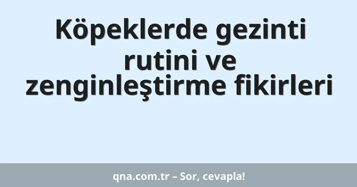 Köpeklerde gezinti rutini ve zenginleştirme fikirleri