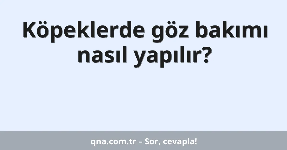Köpeklerde göz bakımı nasıl yapılır?