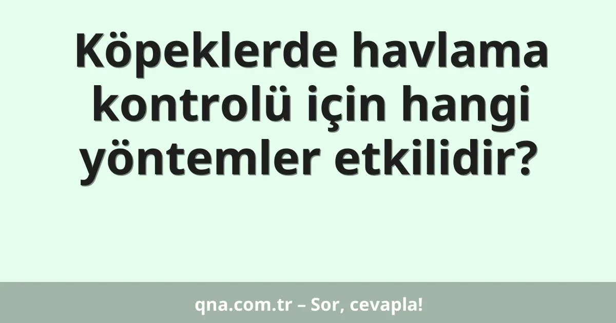 Köpeklerde havlama kontrolü için hangi yöntemler etkilidir?