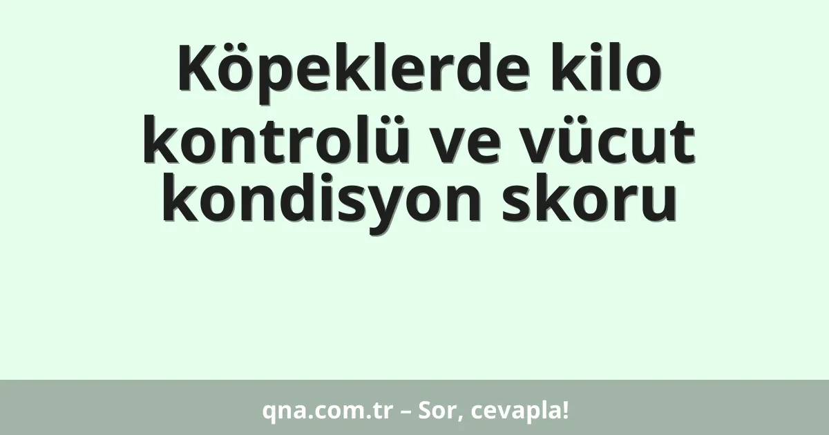 Köpeklerde kilo kontrolü ve vücut kondisyon skoru