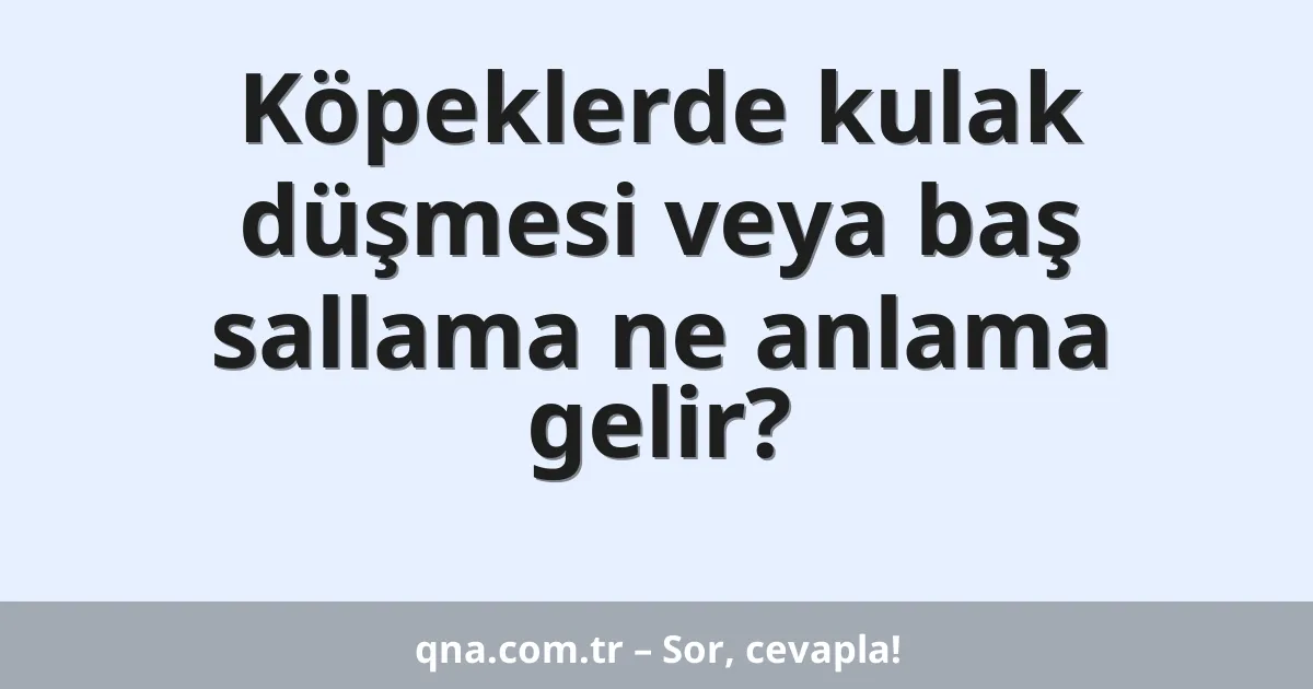 Köpeklerde kulak düşmesi veya baş sallama ne anlama gelir?