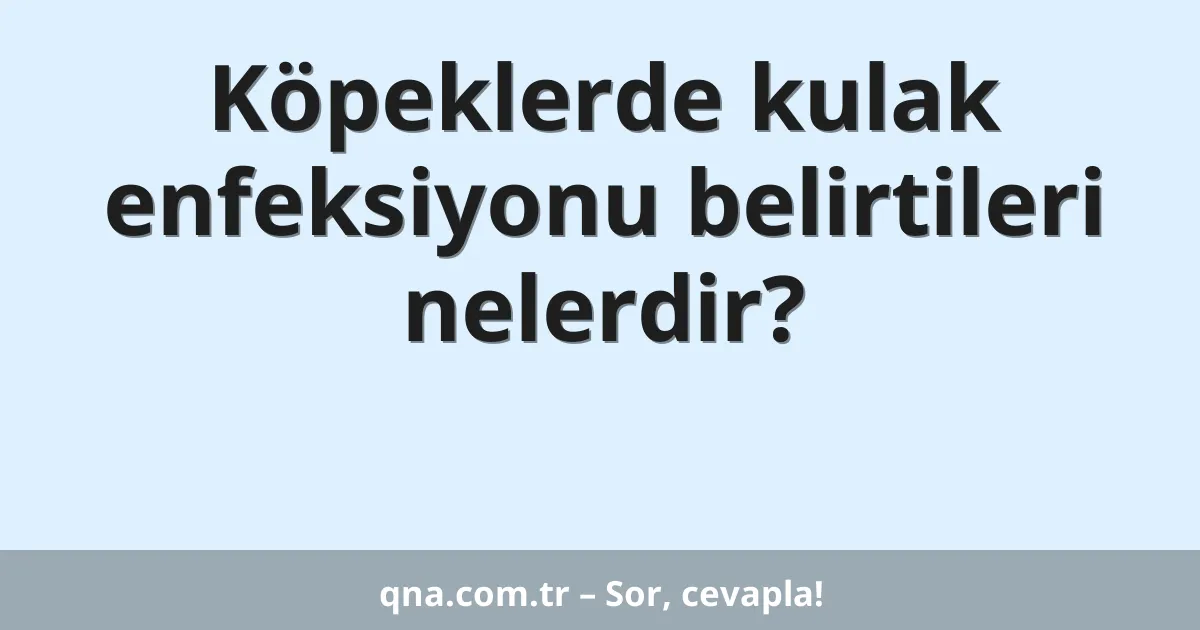 Köpeklerde kulak enfeksiyonu belirtileri nelerdir?