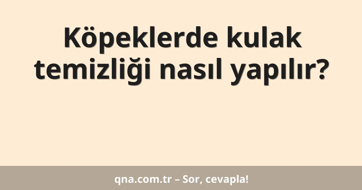 Köpeklerde kulak temizliği nasıl yapılır?
