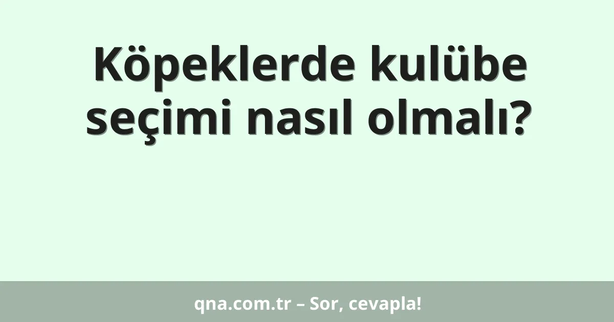 Köpeklerde kulübe seçimi nasıl olmalı?