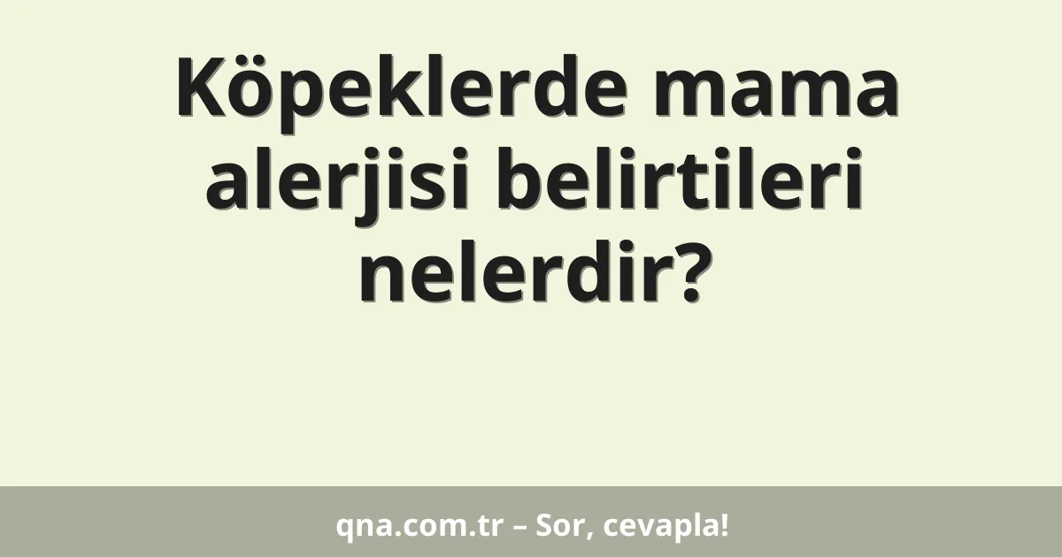 Köpeklerde mama alerjisi belirtileri nelerdir?