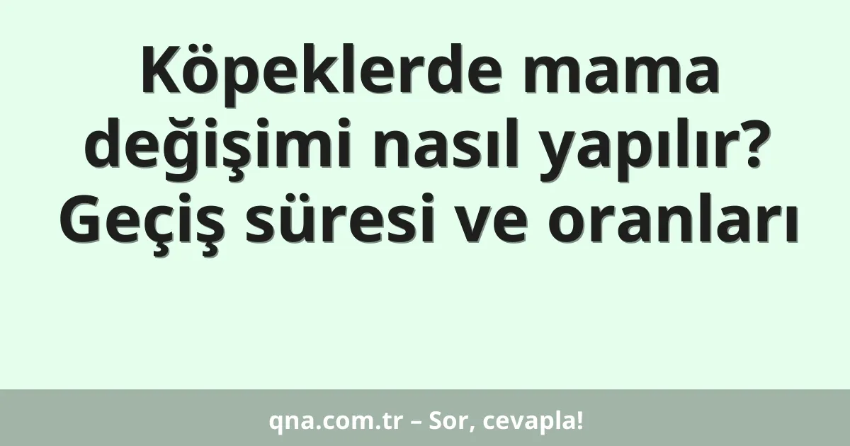 Köpeklerde mama değişimi nasıl yapılır? Geçiş süresi ve oranları