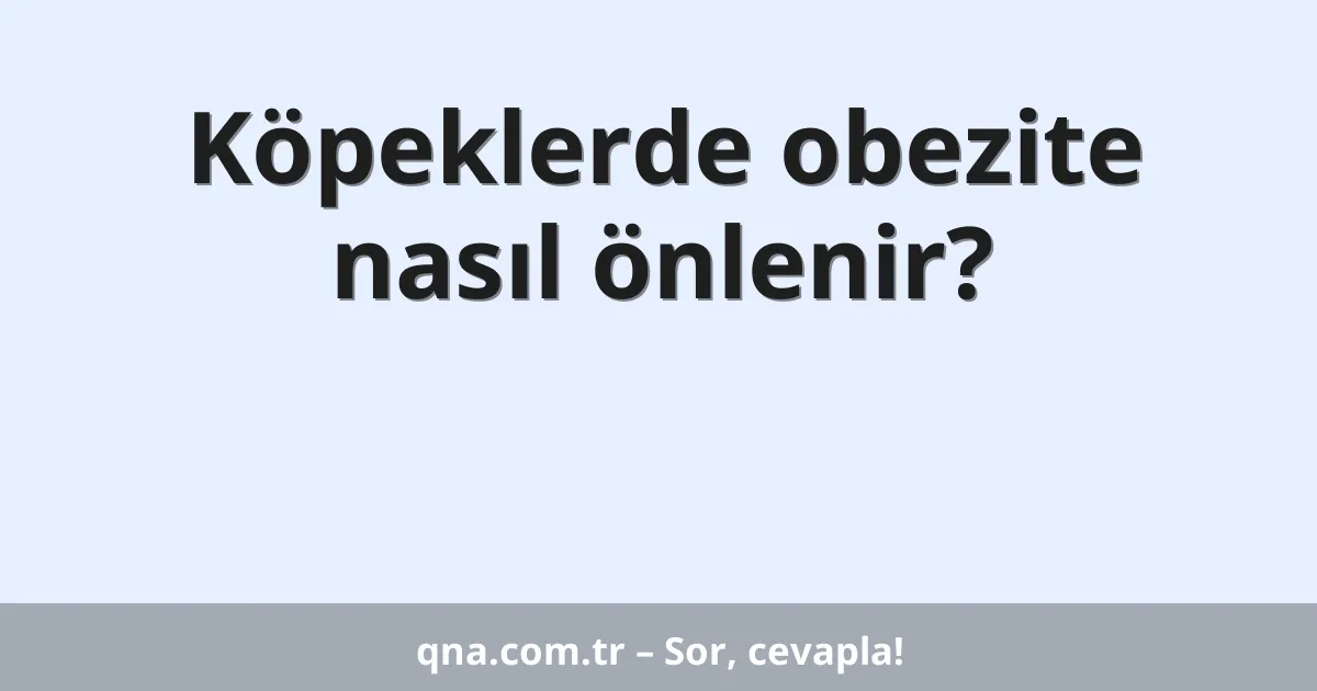 Köpeklerde obezite nasıl önlenir?